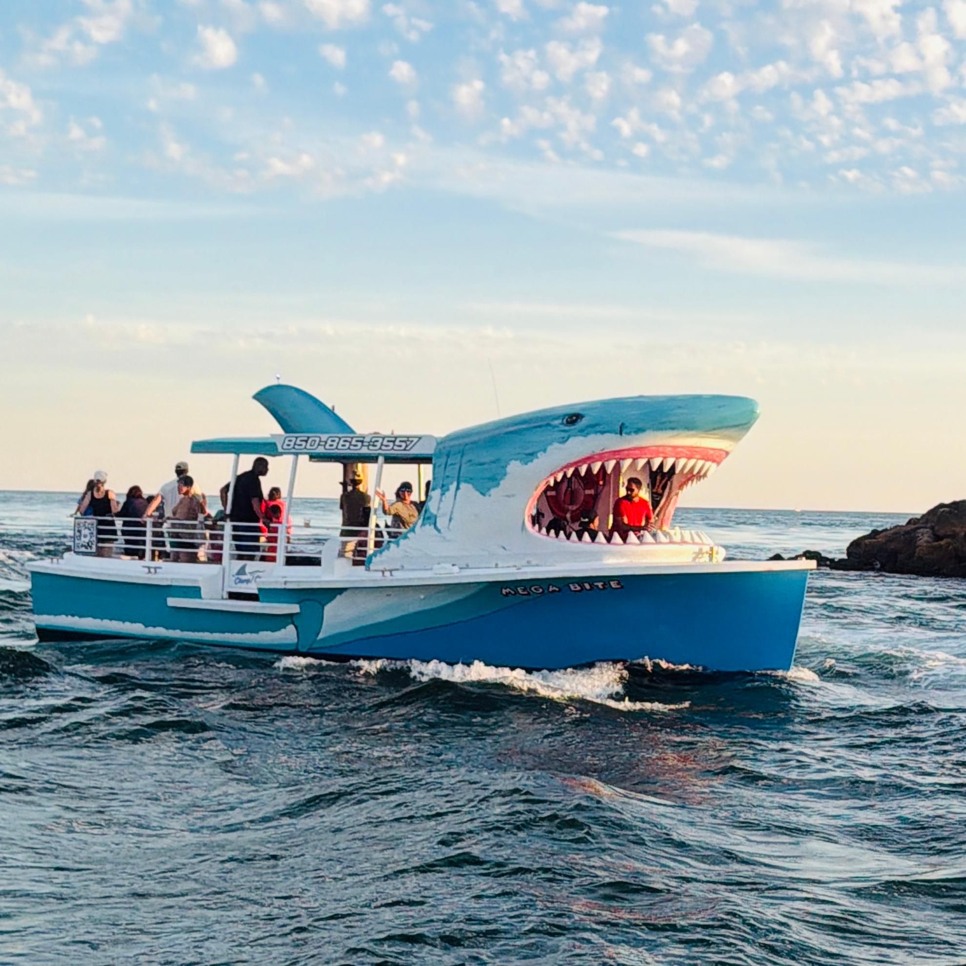 Destin: Delfinbeobachtung und Sonnenuntergangsfahrt auf einem Hai-Boot