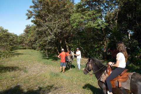 Epic Cloud Forest Horseback Riding Adventure in Boquete