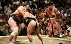 Nagoya: Grand Sumo Tournament with Castle Walking Tour