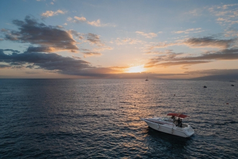 Tenerife: Experiencia privada en barco de lujo al atardecerTenerife: Experiencia Charter Privada de Lujo al Atardecer