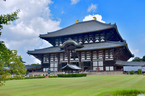 From Osaka/Kyoto: Kyoto & Nara Private Sightseeing Day Trip Pick-up From Kyoto: Kyoto & Nara Private Day Trip