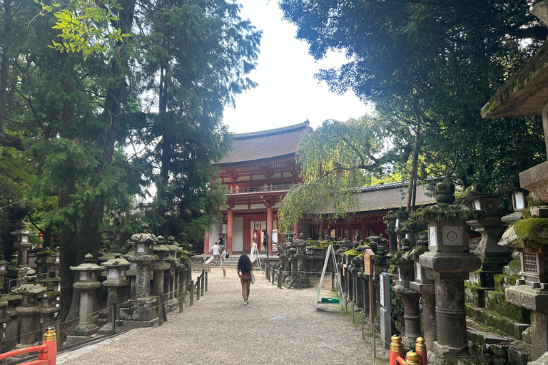Nara: tour con ciervos, el Gran Buda y demostración de mochi