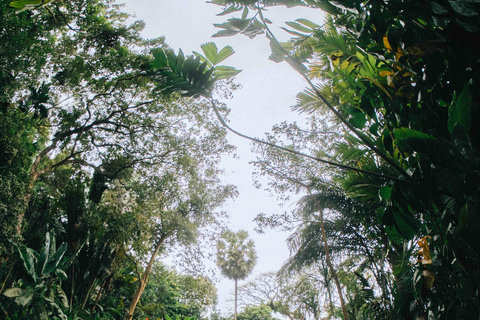 Penang: Tropical Spice Garden Entry Ticket with Audio Guide