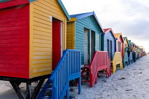 Kaap Schiereiland: Hele dag privé tour