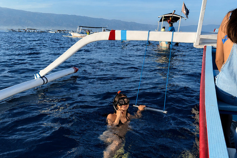 Lovina: Dolphin Observe & Snorkeling with Optional GoPro Sharing Dolphin Tour With GoPro, Transfer Hotel North Area