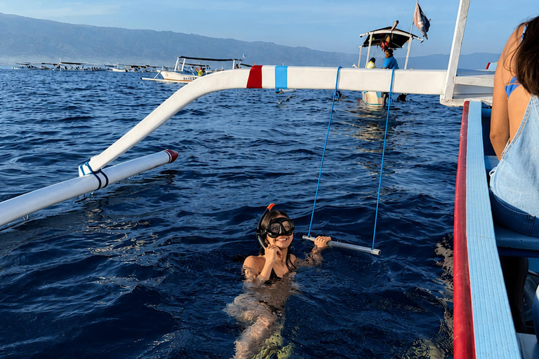 Lovina: Dolphin Observe & Snorkeling with Optional GoPro Sharing Dolphin Tour With GoPro, Transfer Hotel North Area