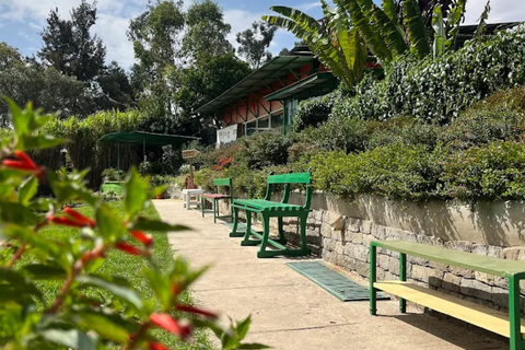 Addis Ababa: Zoma Museum Art and Architecture Guided Tour