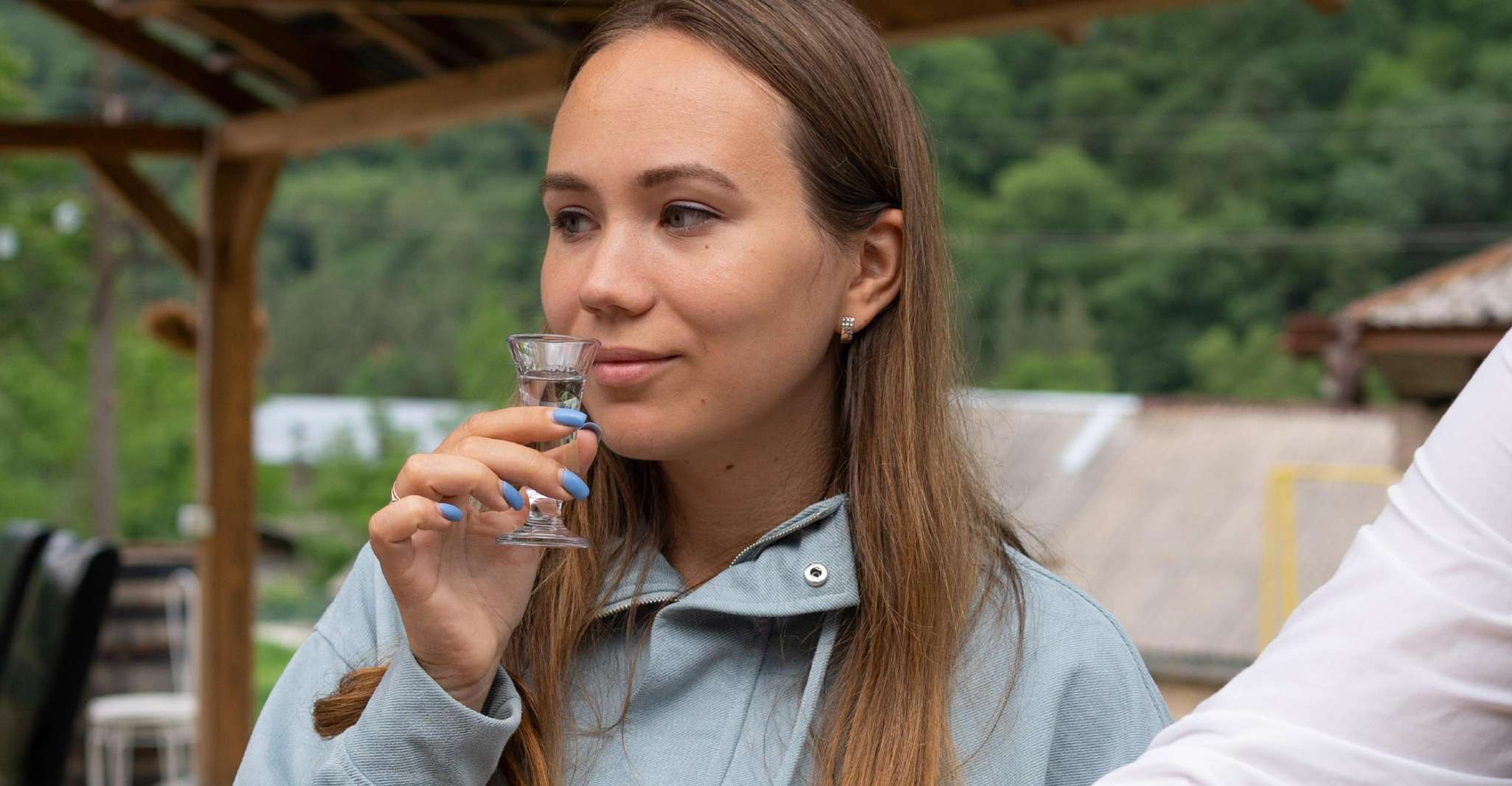 Dilvegas, Dégustation aveugle de boissons fruitières arméniennes - Hizvo