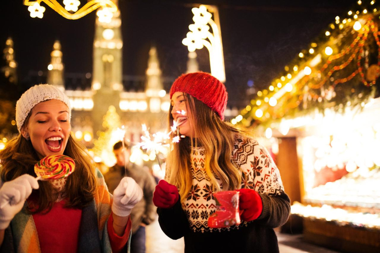 Esplorare Vienna nel periodo natalizio - Tour privato a piediVienna: tour dei mercatini di Natale e del centro storico