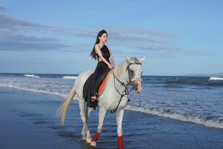 Bali: Sunrise Horse Riding Sanur Beach Experience 1 Hour Ride Include Hotel Transfer