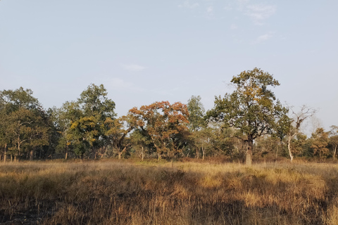 4 dagar med en övernattning i Chitwan nationalpark