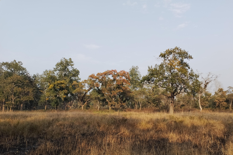 3 Noches 4 Días Parque Nacional de Chitwan con Estancia Nocturna en la Torre