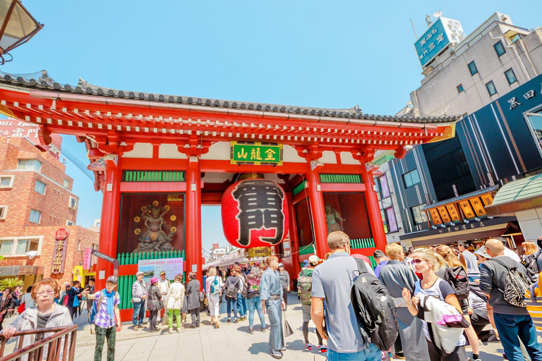 Best of Tokyo: Guided Full Day City Tour with Lunch