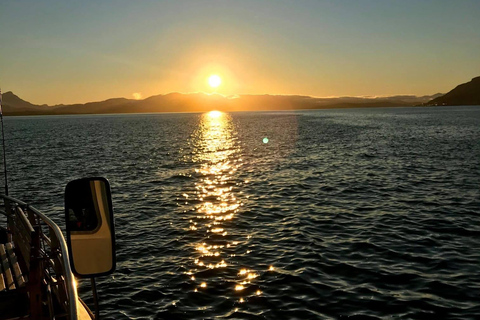 Tromsø: Summer Evening Cruise with Activities