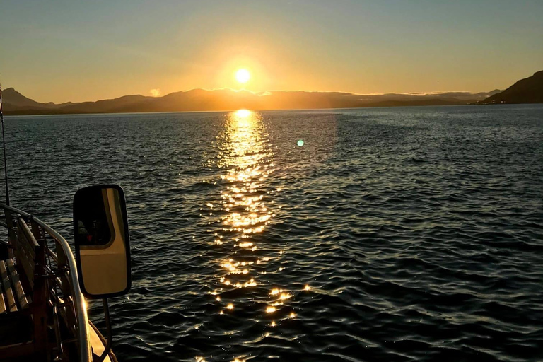 Tromsø: Summer Evening Cruise with Activities