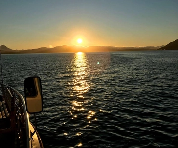 Tromsø: Midnight Cruise