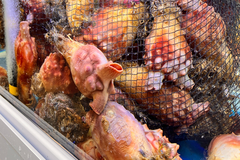 Desde Jeju: excursión a sitios de la UNESCO