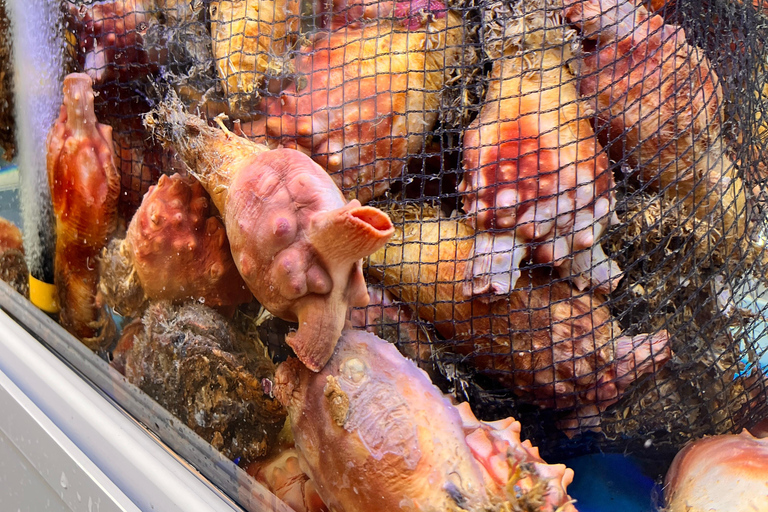 Desde Jeju: excursión a sitios de la UNESCO