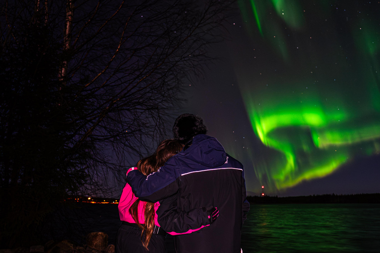 Rovaniemi: Northern Lights Tour – Guaranteed with Photos Small-Group Northern Lights Tour – Guaranteed with Photos