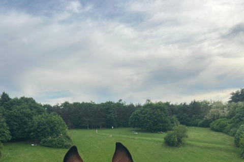 Belgrade: Epic Forest Horseback Riding Tour
