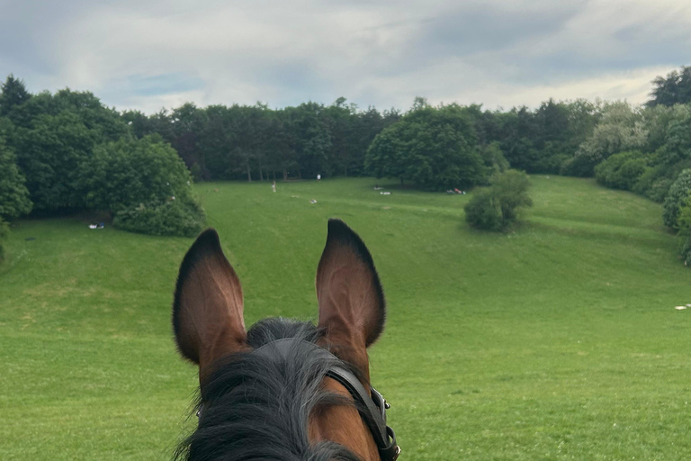 Belgrade: Epic Forest Horseback Riding Tour