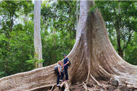 Dalat to Cat Tien National Park, drop-off Ho Chi Minh Private tour by Car