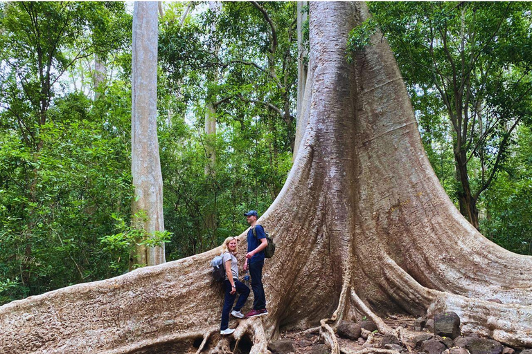 Dalat to Cat Tien National Park, drop-off Ho Chi Minh Private tour by Car