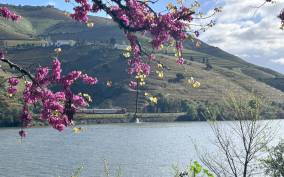 Porto: Douro Valley 2 Vineyards Tour w/ Lunch & River Cruise