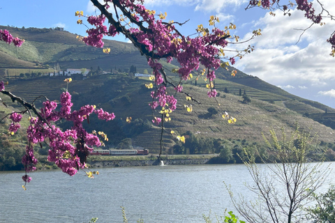 Oporto: Visita a 2 viñedos del valle del Duero con almuerzo y crucero por el río