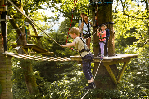 Manchester: Heaton Park Child Treetop Course (Mini Trek)