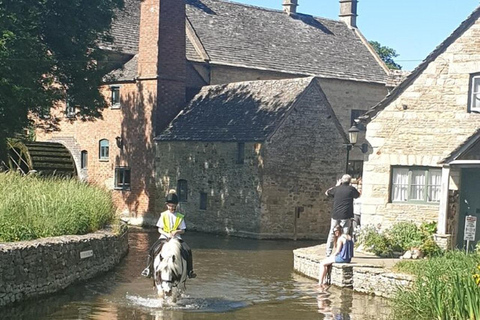 Prywatne wycieczki do Cotswolds, Blenheim Palace, Oxfordu