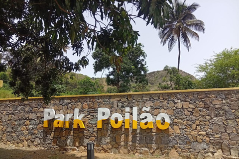 From Praia: Assomada Market, the Kapok Tree, and Local Pottery From Praia: Assomada Market, Kapokier, and Local Pottery