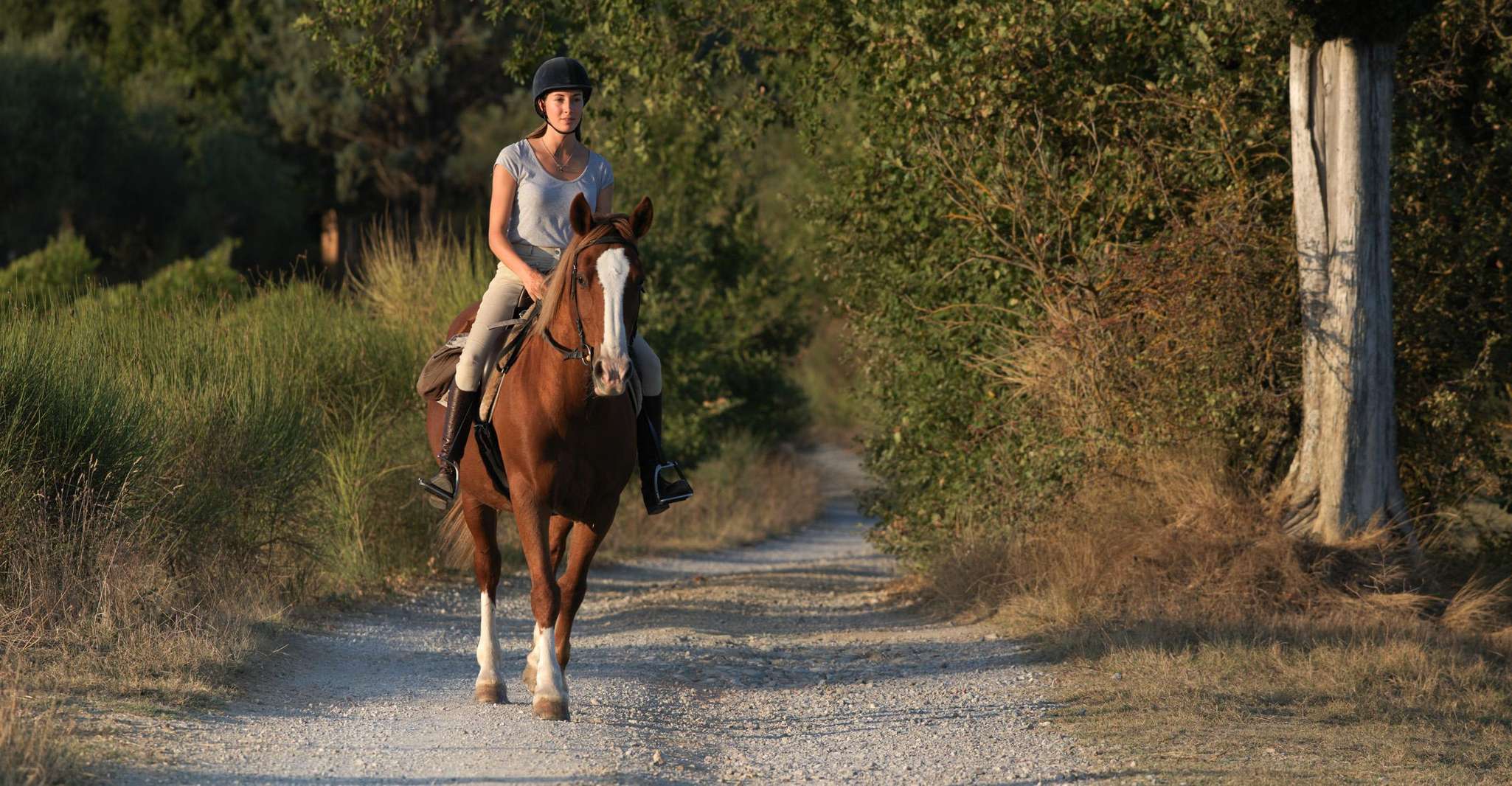 Siena, Horseback Adventure in the Tuscan Countryside - Housity