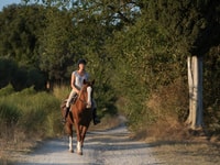 Siena, aventure à cheval dans la campagne toscane - Housity