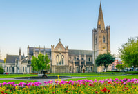 Dublin Walking Tour mit Tickets für die St. Patrick's Cathedral - Housity