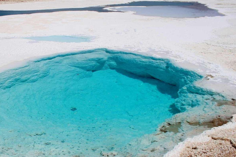 San Pedro de Atacama: Baltinache Lagoons Day Trip
