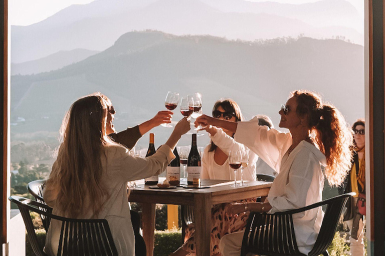 Le Cap : visite des vignobles pour les amateurs de vin avec transfert privé