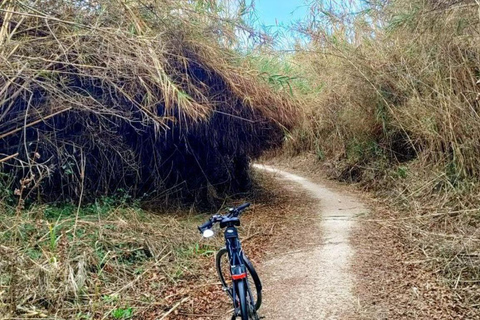 Active Bike Tour: River Turia Natural Park. Private Bike Tour 5 hours