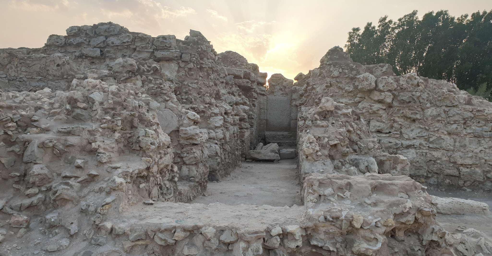 Bahrain Half-Day Desert Tour photo 4