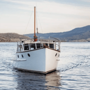 Huon River: Afternoon River Cruise with Bottomless Drinks