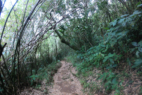 Kandy: Waterfalls and Local Village Day Tour with Lunch