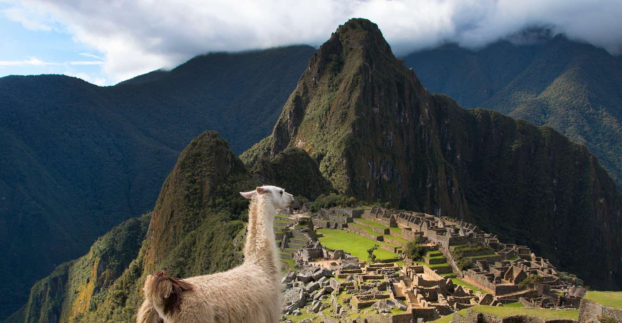 From Cusco , Machu Picchu + Huayna Picchu mountain - Housity