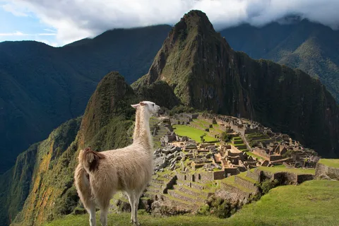 Depuis Cusco : Machu Picchu + montagne Huayna Picchu