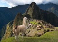 From Cusco , Machu Picchu + Huayna Picchu mountain - Housity