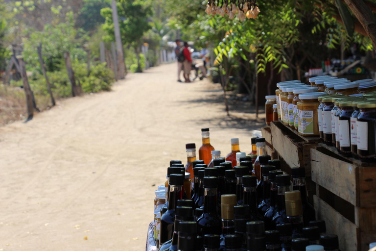 Safari Through the manfroves in Ventanilla, Oaxaca