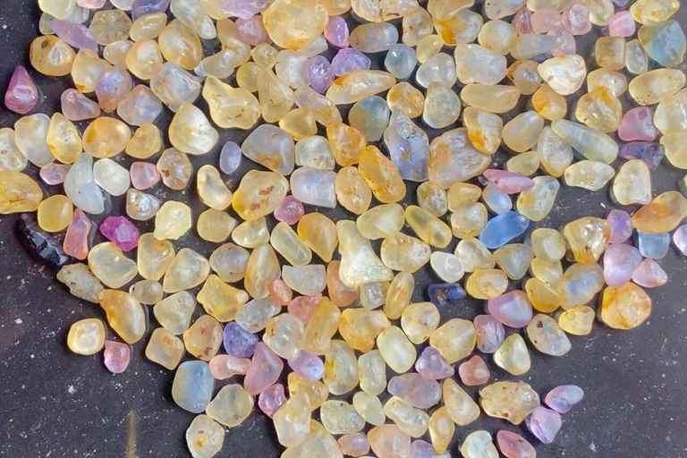 Rathnapura Gem Tour and Ella Drop: From Colombo/Negombo