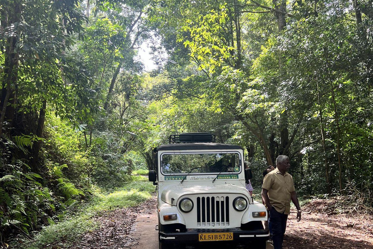 Kochi: Attappadi & Silent Valley 2-Day Tour with Meals