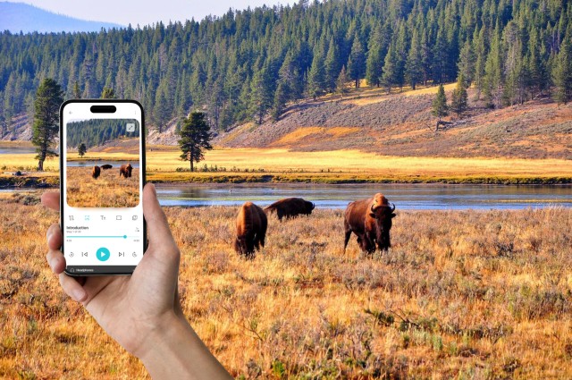 Visit Yellowstone Self-Driving Audio Tour From West Entrance (EN) in Yellowstone National Park
