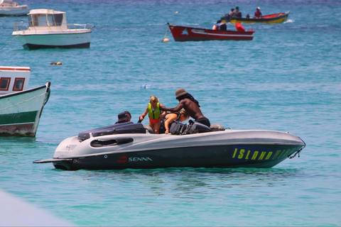 Wyspy Zielonego Przylądka: Santa Maria Bay Dolphin Watching Tour