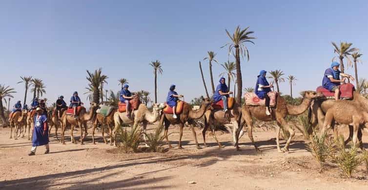 Marrakech: Majorel Garden, Camel ride in Palmerai, City trip | GetYourGuide